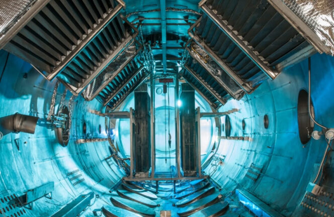 
					Scientists, Feeling Under Siege, March Against Trump Policies