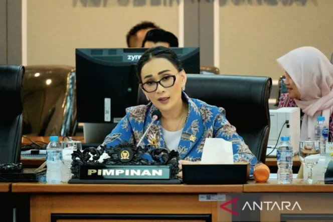 
					Anggota DPR RI Amelia Anggraini Mendesak Standardisasi Kompetensi dan Sertifikasi Wajib bagi Pengasuh Daycare di Seluruh Indonesia