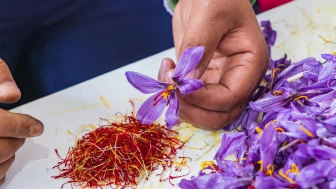 
					10 Makanan Termahal Dunia di 2026: Eksklusivitas, Kelangkaan, dan Prestise dalam Industri Kuliner Global