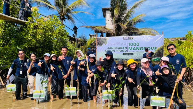 
					Aksi Nyata Mitigasi Perubahan Iklim: Ratusan Elemen Masyarakat Tanam 1.000 Mangrove di Pesisir Jangkaran Kulon Progo