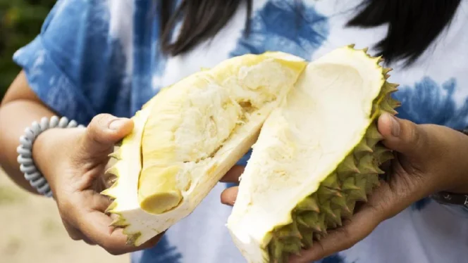 
					Bahaya Mengintai di Balik Kombinasi Durian dan Alkohol: Studi Kasus Medis dan Penjelasan Ilmiah di Balik Insiden Fatal