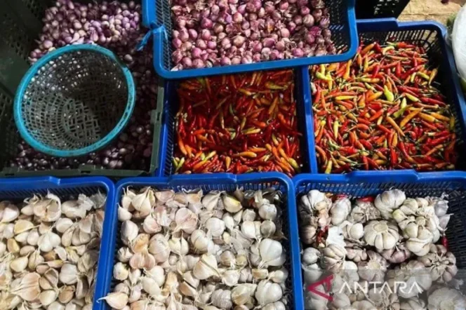 
					Harga cabai rawit melonjak ke Rp81.300 per kilogram dan telur ayam ras tembus Rp33.100 per kilogram di tengah tantangan distribusi pangan nasional
