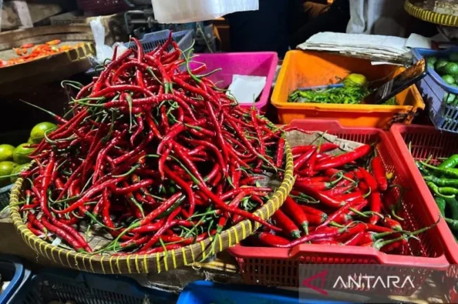 
					Harga cabai rawit tembus Rp60.000 per kilogram dan telur ayam Rp31.000 per kilogram memicu tekanan pada daya beli masyarakat di awal Mei 2026