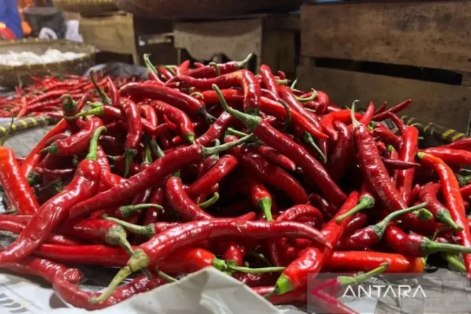 
					Harga cabai rawit tembus Rp73.500 per kilogram dan telur ayam ras Rp30.500 per kilogram di tengah tantangan distribusi pangan nasional