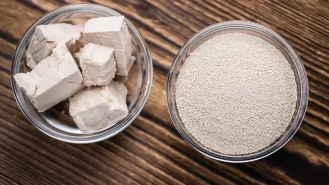 
					Jangan Salah Pilih! Ini 3 Jenis Ragi yang Bikin Hasil Baking Lebih Maksimal