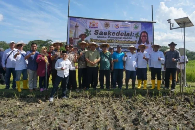 
					Kadin DIY Luncurkan Inovasi Digital Saekedelai untuk Wujudkan Kedaulatan Pangan Nasional dari Yogyakarta