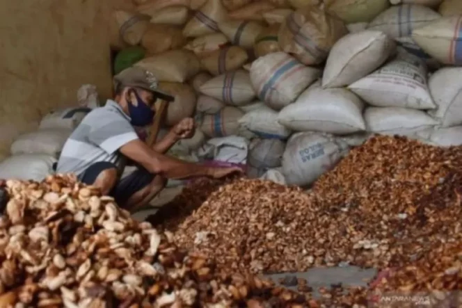 
					Kemendag: Harga biji kakao naik akibat penutupan Selat Hormuz