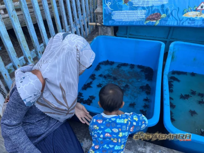 
					Konservasi Mino Raharjo Melepasliarkan 220 Tukik di Pantai Goa Cemara Sebagai Upaya Pelestarian Ekosistem Pesisir Selatan Yogyakarta