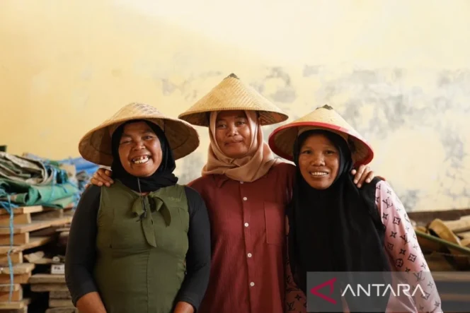 
					Perempuan prasejahtera miliki ruang tumbuh berkat pendampingan berkelanjutan PT Permodalan Nasional Madani
