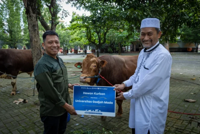 
					Semangat Berbagi dan Pengabdian Masyarakat Universitas Gadjah Mada dalam Perayaan Idul Adha 1446 H