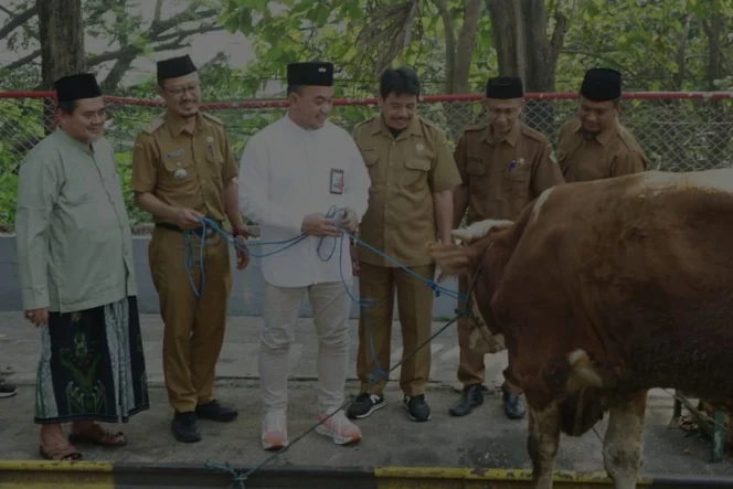 
					Semen Indonesia Perkuat Ekosistem Sosial dan Ekonomi Lewat Distribusi 292 Hewan Kurban di 19 Provinsi