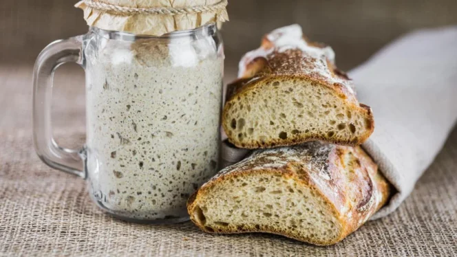 
					Sourdough vs Roti Biasa: Analisis Mendalam Perbandingan Nutrisi, Proses Produksi, dan Dampak Kesehatan