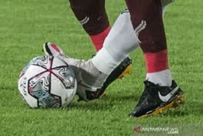 
					Torino bangkit dari keterpurukan dengan menundukkan Sassuolo 2-1 dalam lanjutan pekan ke-36 Liga Italia di Stadion Olimpico Grande Torino