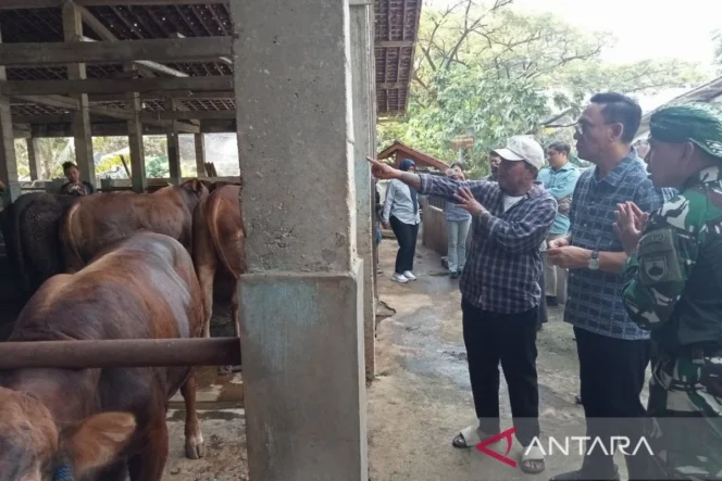 
					TPID Yogyakarta perketat pengawasan kesehatan hewan kurban jelang Idul Adha 1447 H demi jaminan keamanan pangan dan pengendalian inflasi
