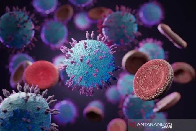 
					WHO Tegaskan Risiko Penyebaran Hantavirus dari Kapal Pesiar MV Hondius Masih Relatif Rendah