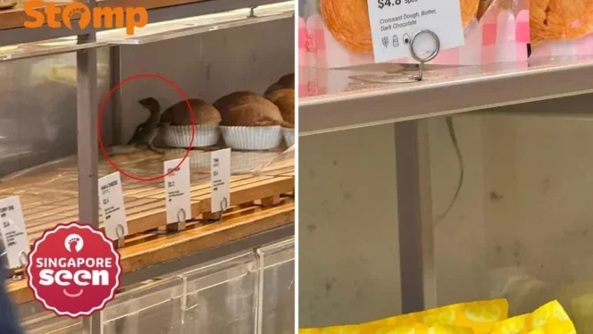 
					Aksi Heroik Pelanggan Amankan Biawak di Gerai BreadTalk Singapura Picu Standar Keamanan Pangan Baru
