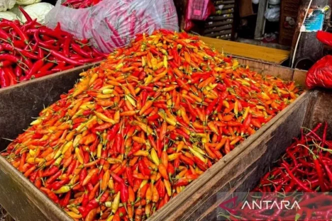 
					Daftar Harga Pangan Strategis 1 Juni 2026: Cabai Rawit Tembus Rp77.250 per Kilogram dan Telur Ayam Rp30.800 per Kilogram