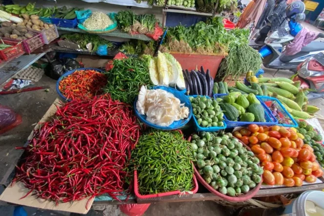 
					Dampak Kenaikan Harga Pertamax terhadap Stabilitas Rantai Pasok dan Ekonomi Agribisnis Nasional