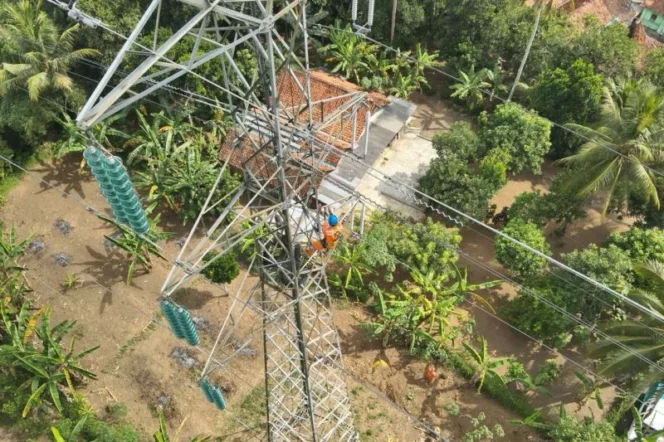 
					Dedikasi Tanpa Padam PLN UPT Salatiga dalam Menjaga Keandalan Transmisi Melalui Climb Up Inspection Momentum Hari Lahir Pancasila