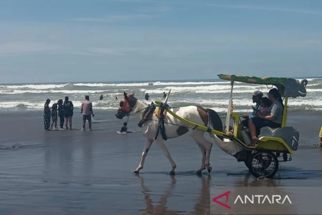 
					Dinas Pariwisata Bantul Optimalkan Kebersihan Destinasi Wisata demi Tingkatkan Kunjungan dan Kenyamanan Pengunjung