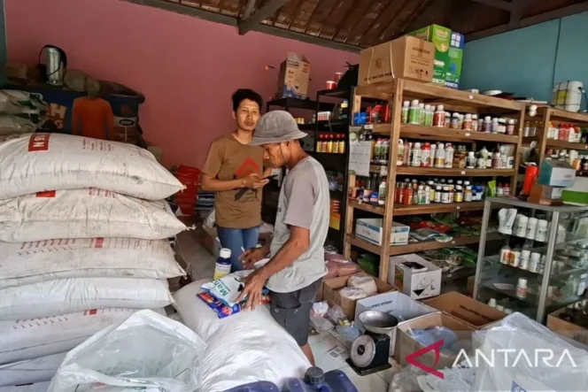 
					Dinas Pertanian dan Pangan Kulon Progo Dorong Efisiensi Hara Petani di Tengah Lonjakan Harga Pupuk Nonsubsidi