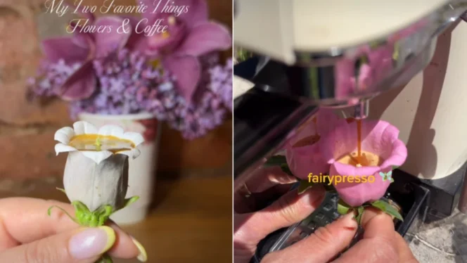 
					Fairypresso: Fenomena Kopi Kelopak Bunga yang Menggabungkan Estetika Visual dengan Mitos Romansa
