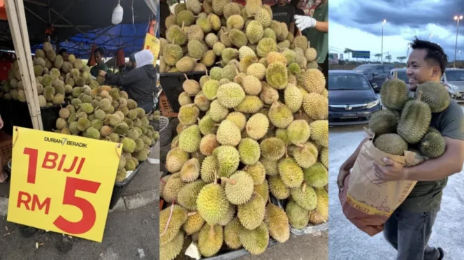 
					Fenomena Anjloknya Harga Durian di Malaysia: Analisis Dampak Melimpahnya Pasokan Musim Panen Raya