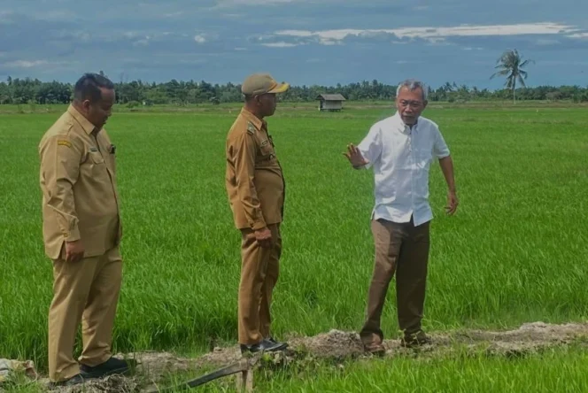 
					Gamagora 7 Jadi Senjata Baru Indonesia Menjawab Tantangan Krisis Pangan di Lahan Marginal