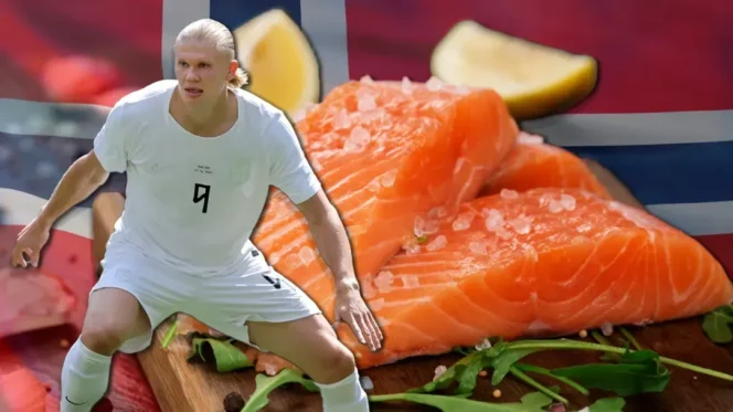 
					Logistik Nutrisi Tingkat Tinggi: Mengapa Timnas Norwegia Membawa 1 Ton Bahan Makanan ke Piala Dunia 2026