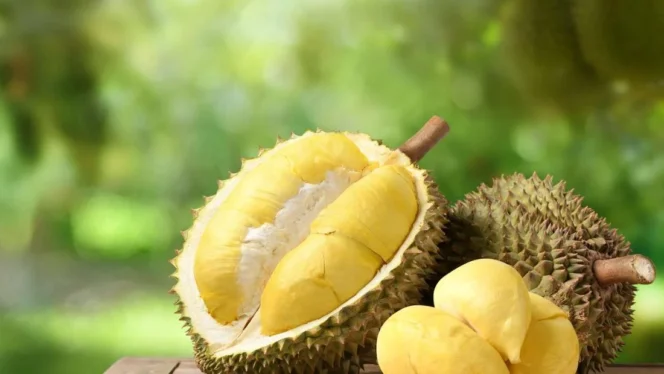 
					Mengapa Durian hingga Sarden Masuk dalam Daftar Makanan Paling Dibenci di Dunia dan Bagaimana Sains Menjelaskannya