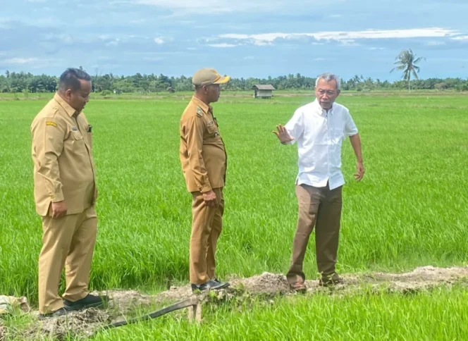 
					Menjawab Tantangan Ketahanan Pangan Nasional Melalui Inovasi Varietas Padi Adaptif Gamagora 7
