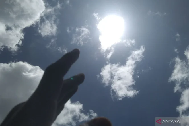
					Pakar UMY Waspadai Risiko Heat Stroke pada Anak Saat Cuaca Panas Ekstrem