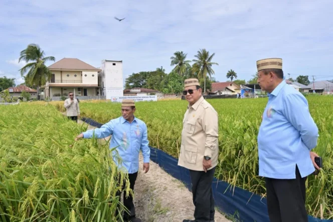 
					Prabowo Subianto Targetkan Indonesia Jadi Lumbung Pangan Dunia Melalui Revolusi Teknologi Pertanian