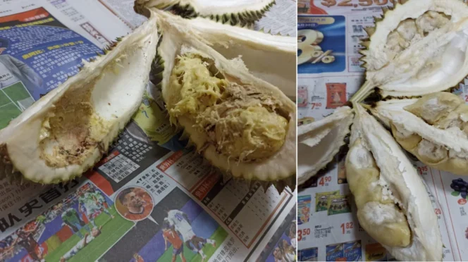 
					Promo Durian Murah Berujung Kekecewaan: Konsumen di Singapura Temukan Buah Busuk dalam Program Diskon Supermarket