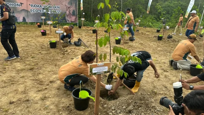 
					Sinergi UGM dan PT Pamapersada Nusantara Perkuat Ekosistem Wanagama Nusantara dalam Peringatan Hari Lingkungan Hidup Sedunia 2026