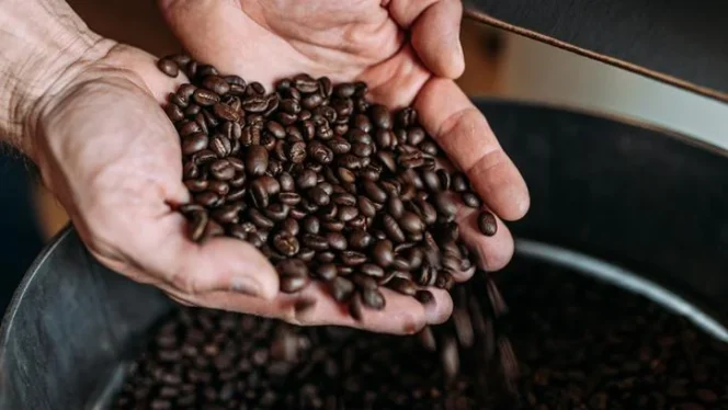 
					Top 5 Biji Kopi Terbaik Dunia Tahun 2026, Ada 2 dari Indonesia!
