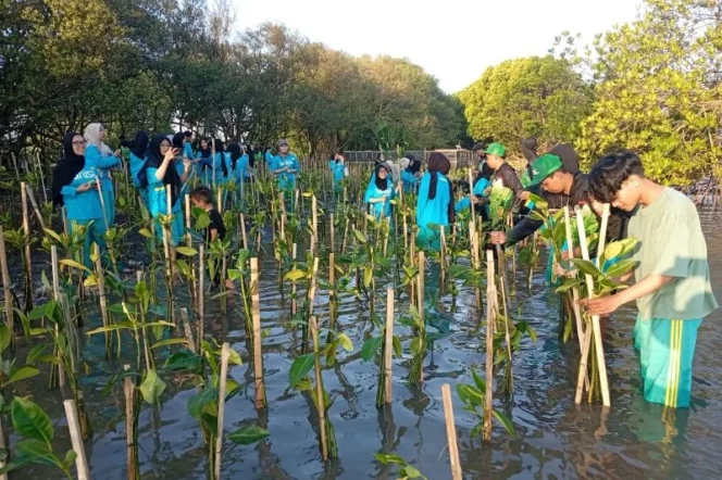 
					Transformasi Kesalehan Ekologis: Mahasiswa UNISA Yogyakarta Tanam 1.500 Mangrove di Pantai Baros Sebagai Aksi Nyata Fikih Hijau