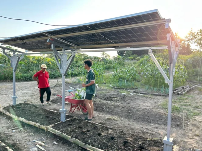 
					Transformasi Pertanian Cerdas di Desa Pandowoharjo Melalui Implementasi Teknologi Agrovoltaic Berbasis Energi Terbarukan