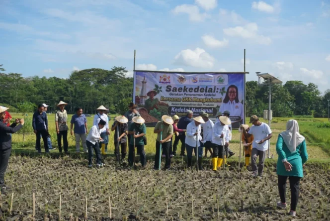 
					Upaya Strategis UGM Mengatasi Ketergantungan Impor melalui Inovasi Smart Farming Saekedelai