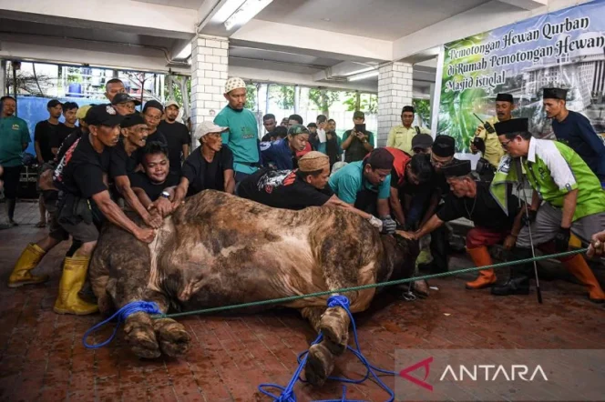 
					Wajah Agama, Tradisi, dan Kurban di Indonesia: Dialektika Antara Ibadah Ritual dan Fenomena Budaya
