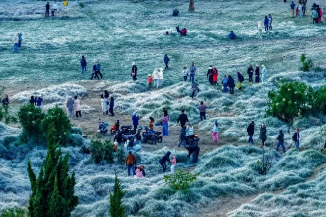 
					BMKG: Fenomena embun upas di Dieng berpotensi lebih sering pada puncak musim kemarau 2026