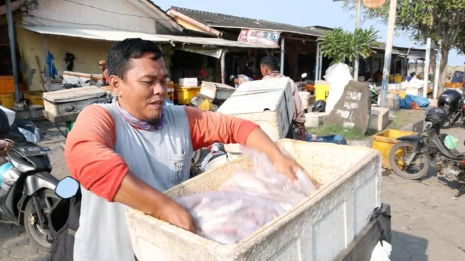 
					Dari Penjual Ikan hingga Menjadi Mahasiswa Psikologi UGM: Perjalanan Inspiratif Rofi Arif Robbani Menggapai Mimpi