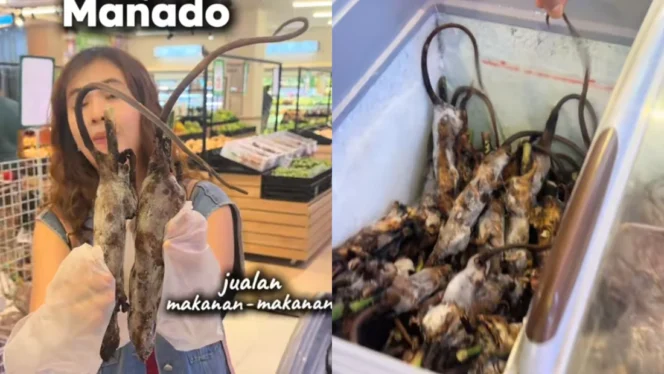 
					Fenomena Penjualan Daging Hewan Ekstrem di Supermarket Modern Manado Menjadi Sorotan Publik