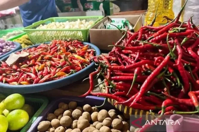 
					Fluktuasi Harga Pangan Nasional: Telur Ayam Rp29.600 dan Bawang Merah Tembus Rp42.150 per Kilogram