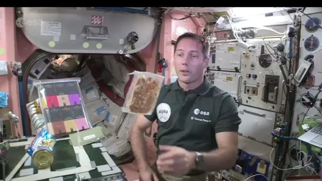 
					Mengapa Serangga Menjadi Solusi Utama Ketahanan Pangan Astronot dalam Misi Eksplorasi Luar Angkasa Jangka Panjang