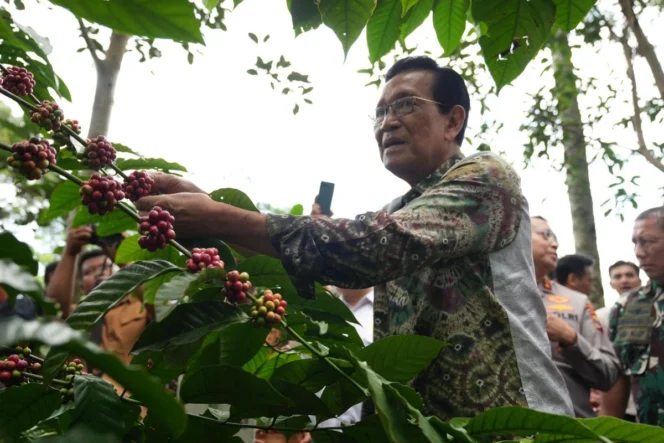 
					Pemda DIY Luncurkan Program Kopi Darling Guna Dorong Branding dan Pemasaran Kopi Lokal di Tingkat Akar Rumput