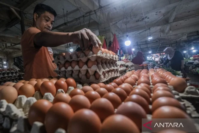 
					Pemulihan Harga Telur Ayam Ras Nasional Menuju Titik Keseimbangan Pasca Anjlok
