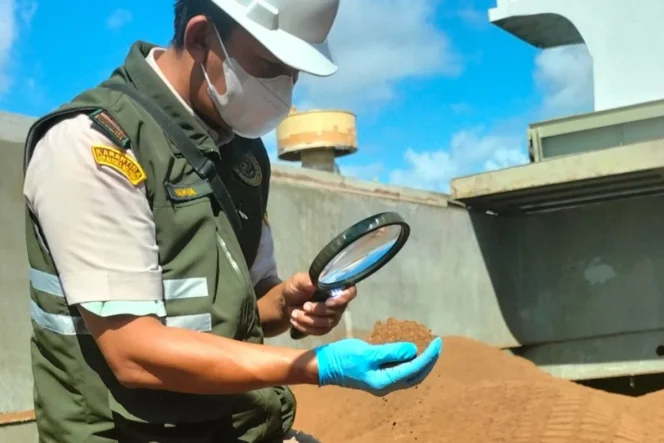 
					Potensi Ekonomi Global Hasil Hutan Bukan Kayu Bangka Belitung Kian Menguat