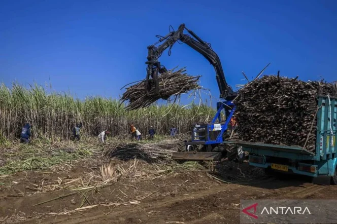 
					Prabowo Subianto Sampaikan Rasa Bangga dan Apresiasi Mendalam kepada Petani Seluruh Indonesia atas Kontribusi Ketahanan Pangan Nasional