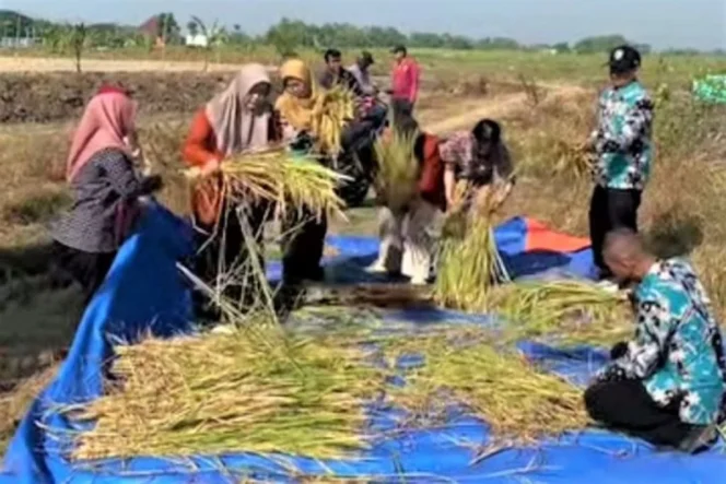 
					Wabup Gunungkidul Joko Parwoto Dorong Transformasi Pertanian Berbasis Inovasi Ramah Lingkungan Demi Ketahanan Pangan Berkelanjutan